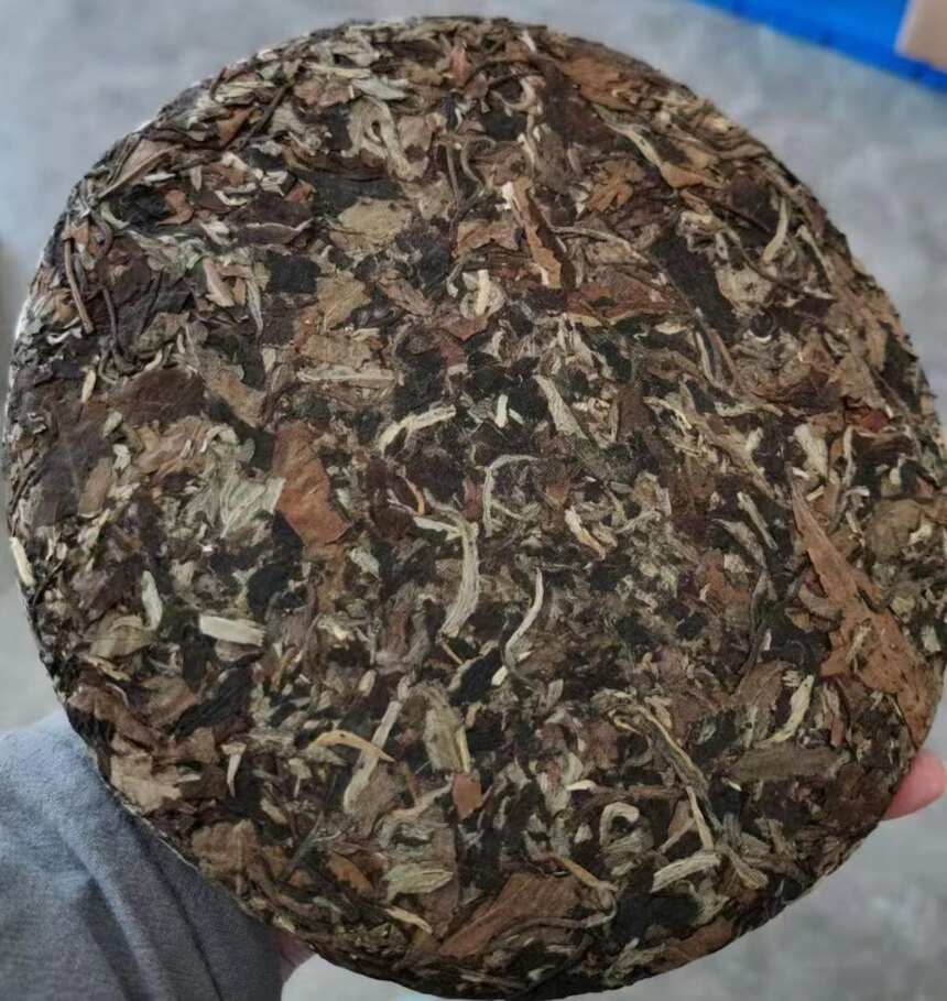 普洱茶那独特的喉韵 不争不抢 温暖纯良