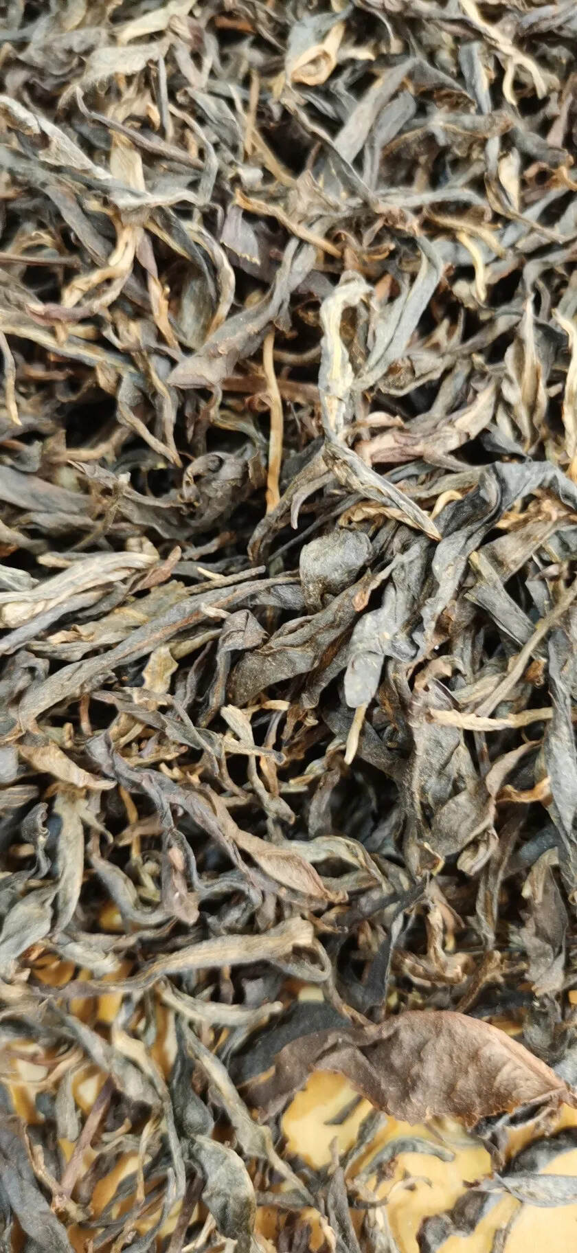 2014年麻黑古树散茶。#茶生活# #普洱茶# #广