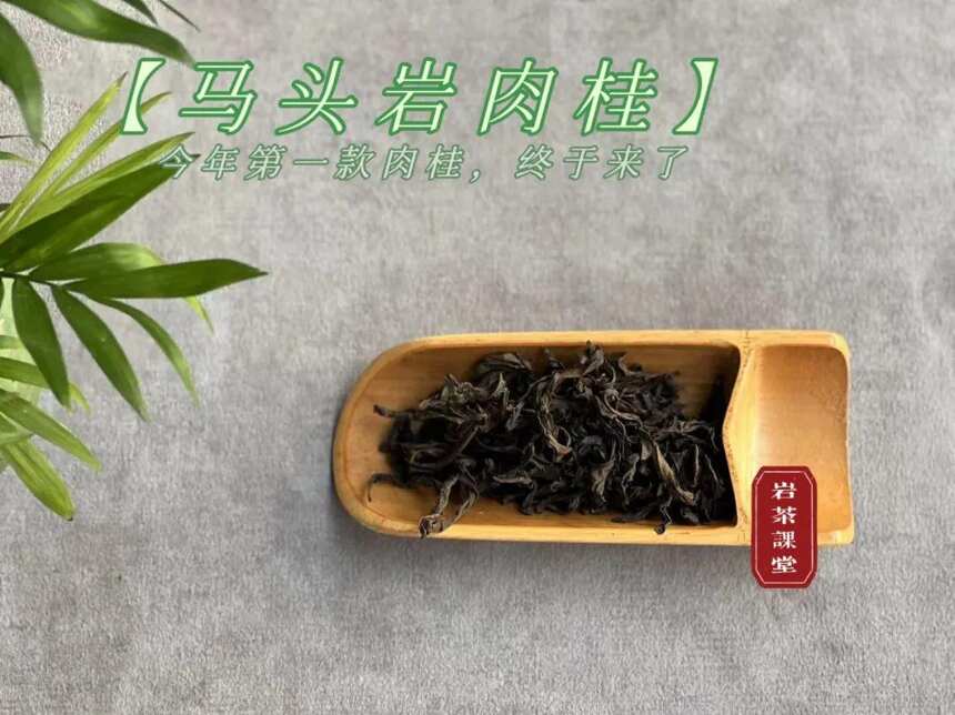 今年的、1年的、3年的，想喝香一点的肉桂岩茶，应该选什么年份？