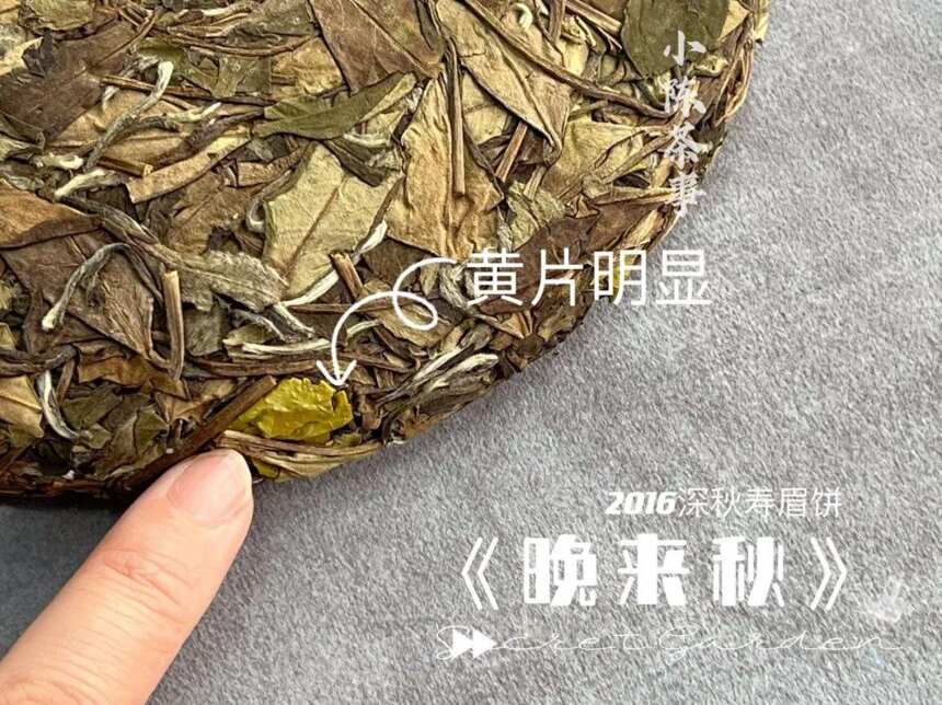 白茶的保质期是多长？放了10年以上的白茶，还能继续喝吗？