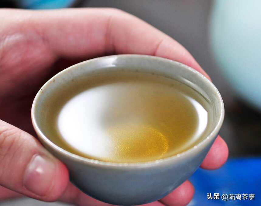 近代普洱茶产业复兴，居然是从一棵千年大茶树开始的？