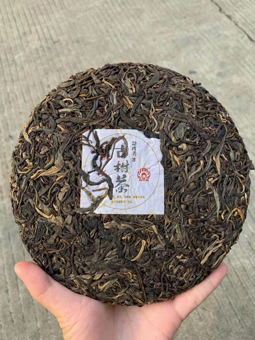 稀缺勐傣老茶2011年勐傣茶厂 勐库乔木古树茶，35