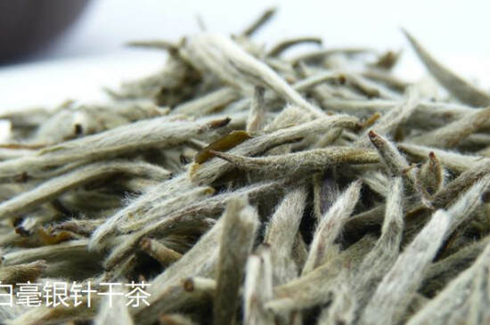 云南白茶与福建白茶的区别，云南白毫银针与福鼎白毫银针