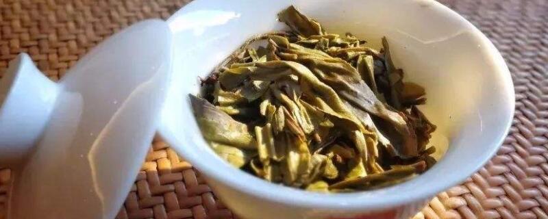 磨烈古树茶是哪个产区