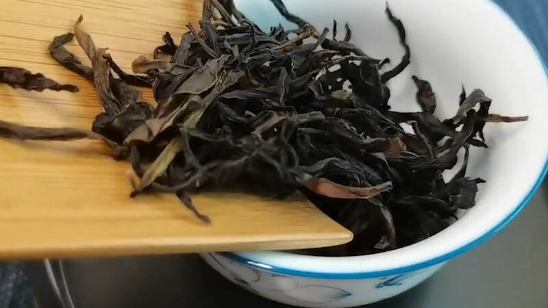 单丛茶有几种品种