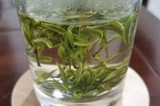 霍山黄芽是什么茶