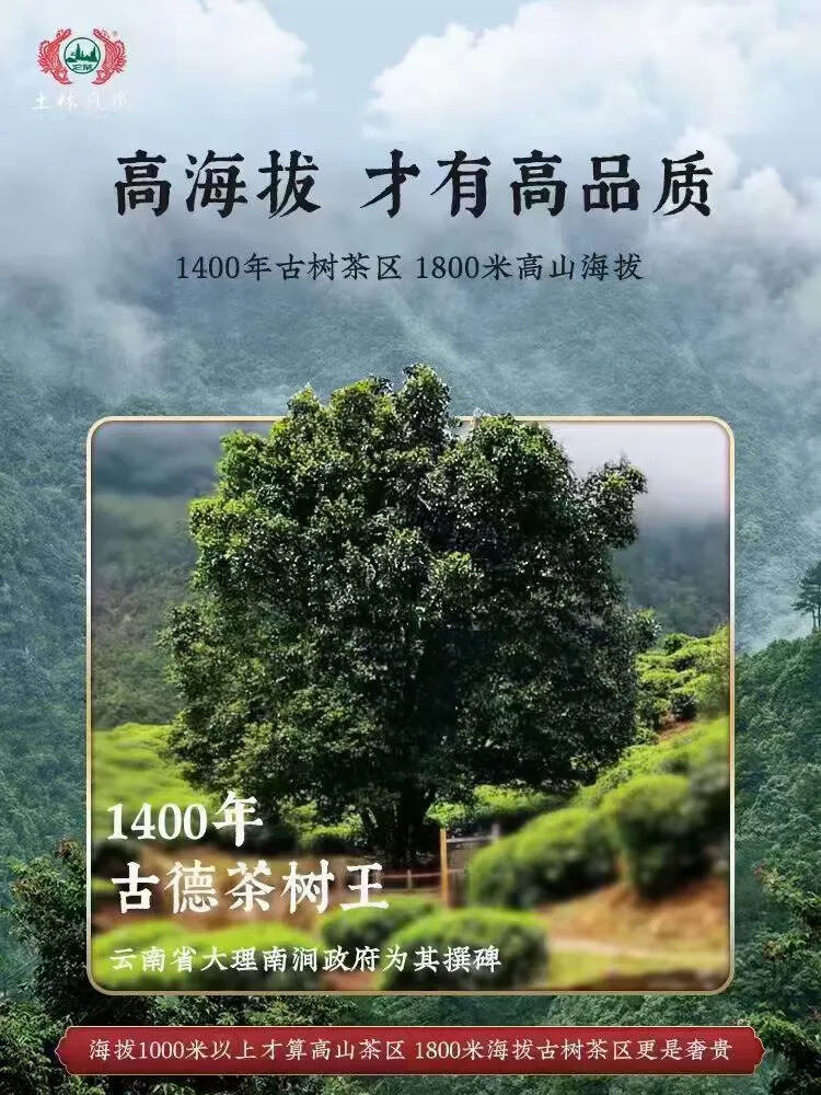 2020年土林凤凰砖 一盒2片，共1000克，一砖一