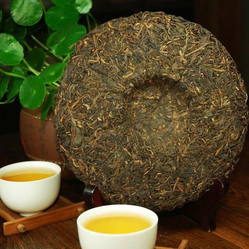 茶能代表人格，你喜欢什么茶？