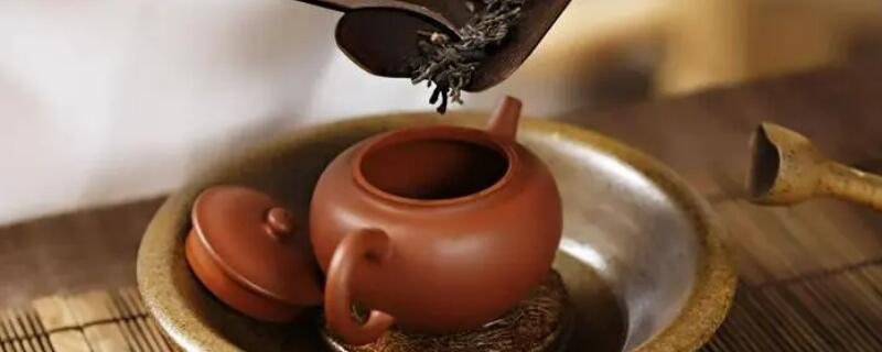 粗砂的紫砂壶适合泡什么茶