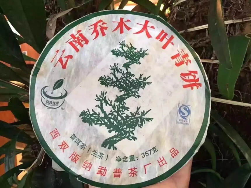 07年乔木大叶青饼，蜜糖甜，有樟香味，汤色红黄透亮?