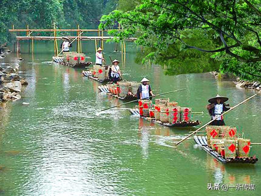 中国唯一正宗六堡茶产地——梧州巡礼