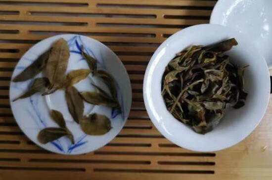 猫耳朵古树茶价格