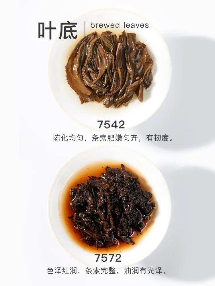 年份好茶免费申购，勐海茶厂82周年厂庆福利大放送