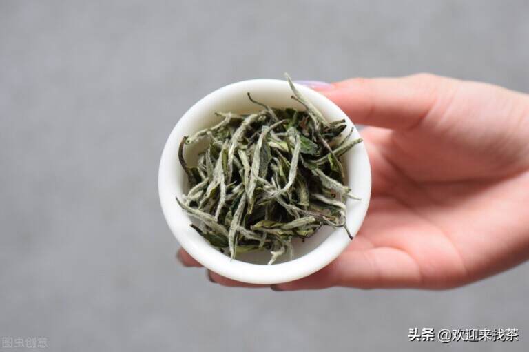 白茶好喝还是黑茶好喝（白茶与黑茶的区别介绍）