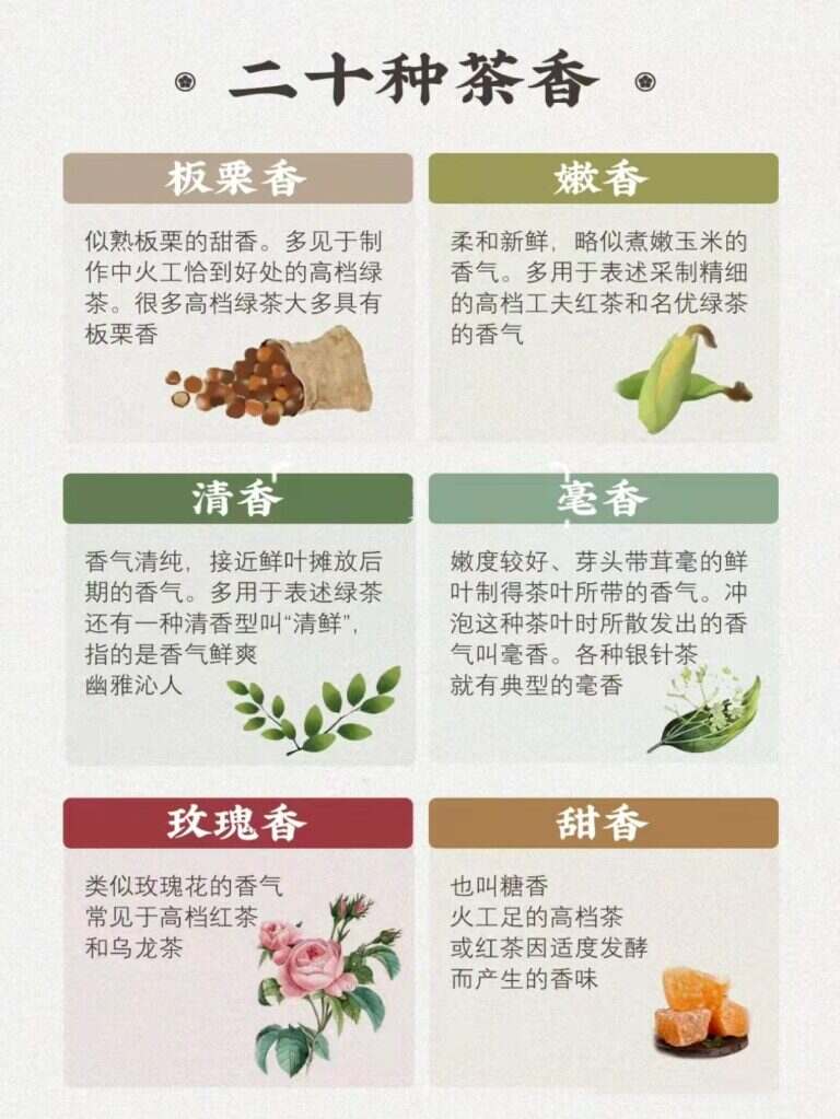 茶的香味有哪几种（20种常见茶香介绍）