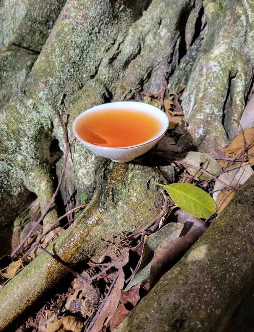 秋高气爽 来一杯普洱熟茶 愿你心情舒畅