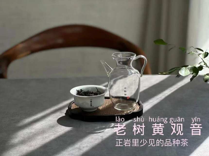 半年、1年、3年、10年，喝茶多少年，才能喝得惯岩茶？