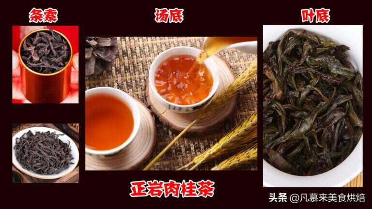 正岩肉桂茶属于什么茶（正岩肉桂茶饮用注意事项）