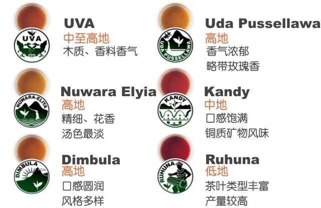 茶叶最大消费国是哪个国家？15个有独特茶文化的国家盘点