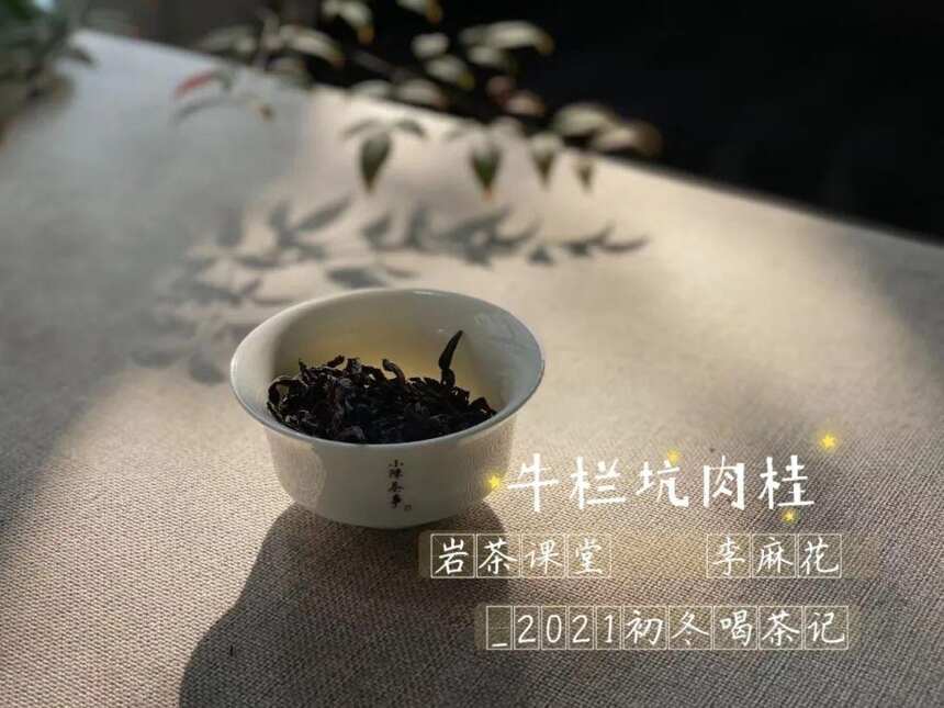 肉桂、铁罗汉、老丛水仙，来头一个比一个大，但谁的茶气更足？