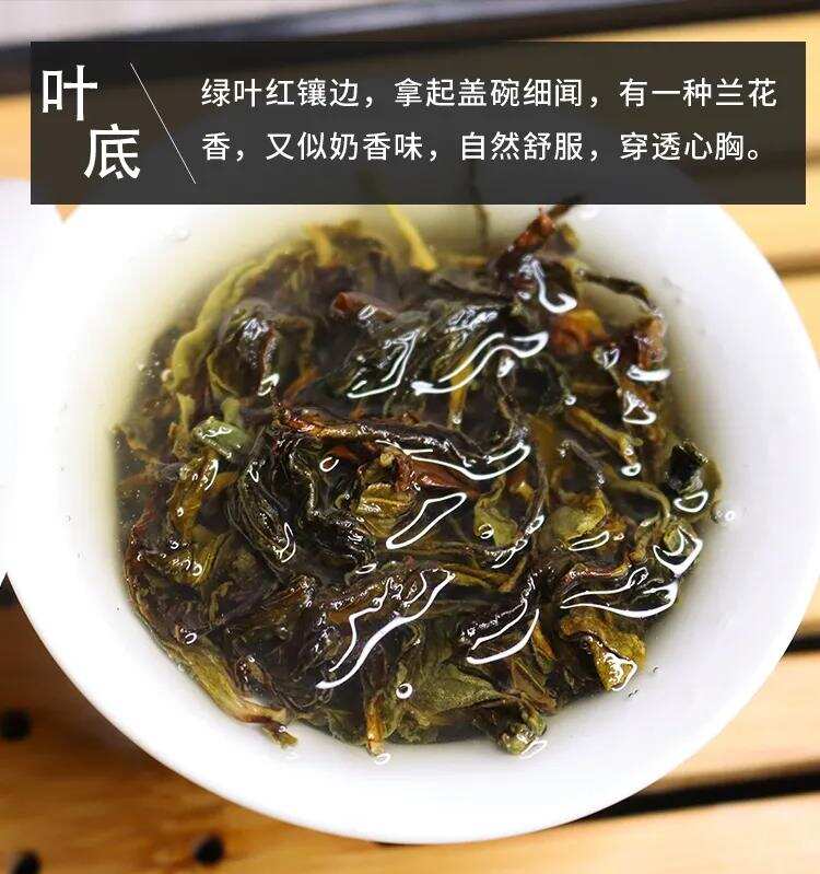 凤凰单丛去哪儿买怎么选（凤凰单丛茶品质特点与选购指南）