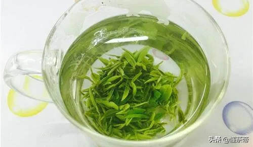 毛峰茶有哪些品种（不同毛峰茶品质特点区分）