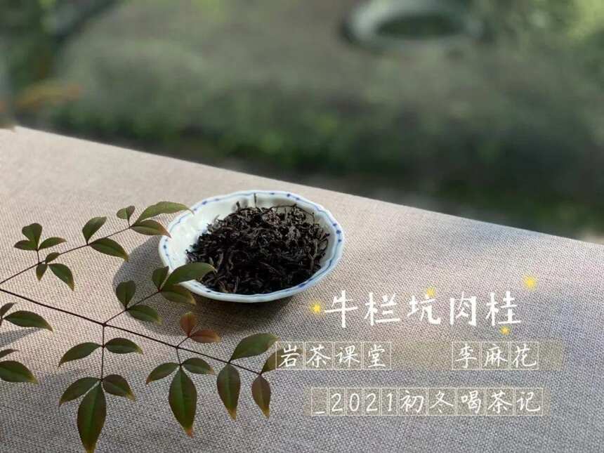 肉桂、铁罗汉、老丛水仙，来头一个比一个大，但谁的茶气更足？