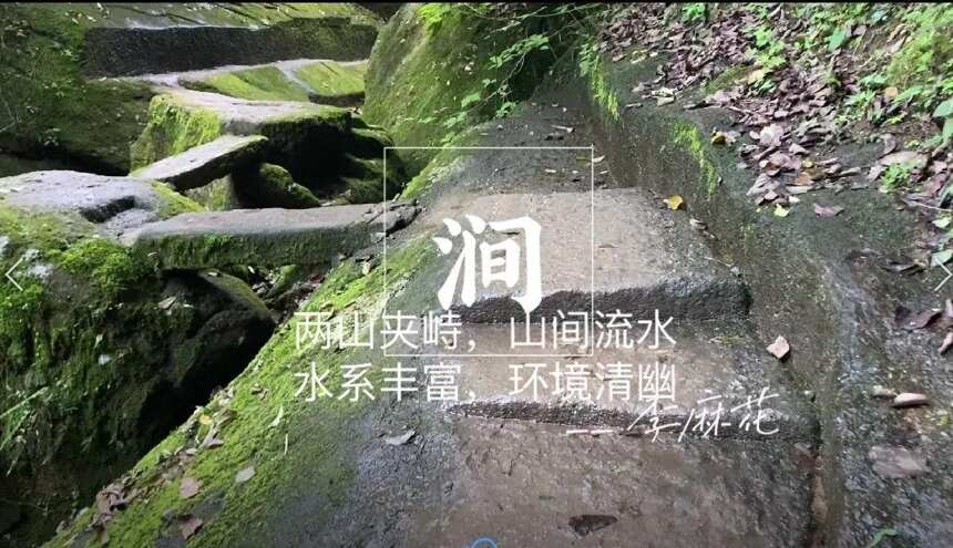 听过牛栏坑、慧苑坑、倒水坑，但三坑两涧里的流香涧，你知道吗？