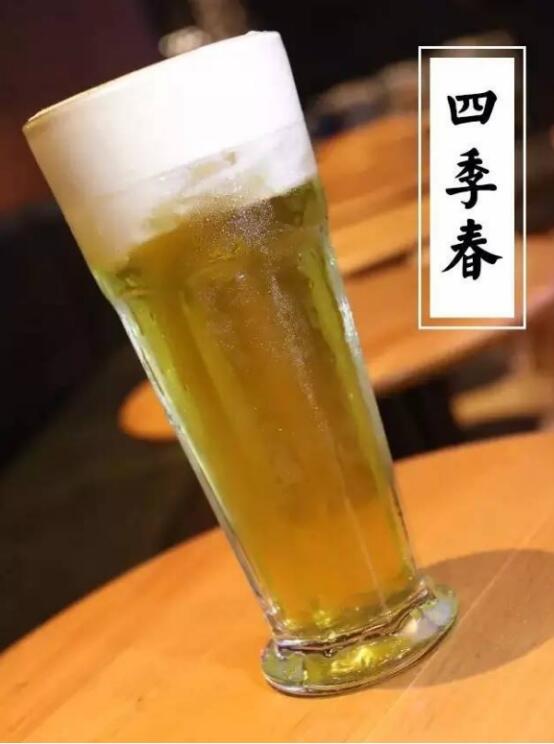 四季春茶属于什么茶（四季春茶的冲泡方法）