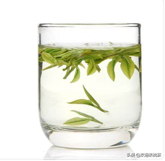 喝茶用什么茶具杯子最好（不同的茶用不同的器皿介绍）