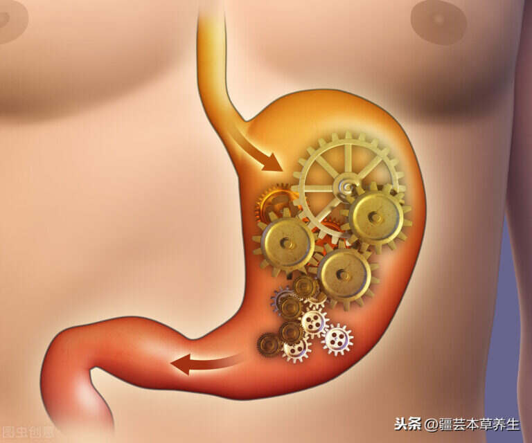 陈皮可以和什么一起泡水（喝陈皮水的功效与作用）