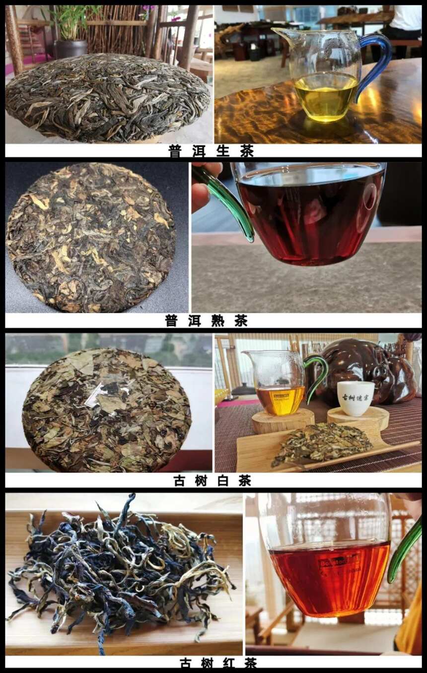 如何选择适合的口粮茶存储？