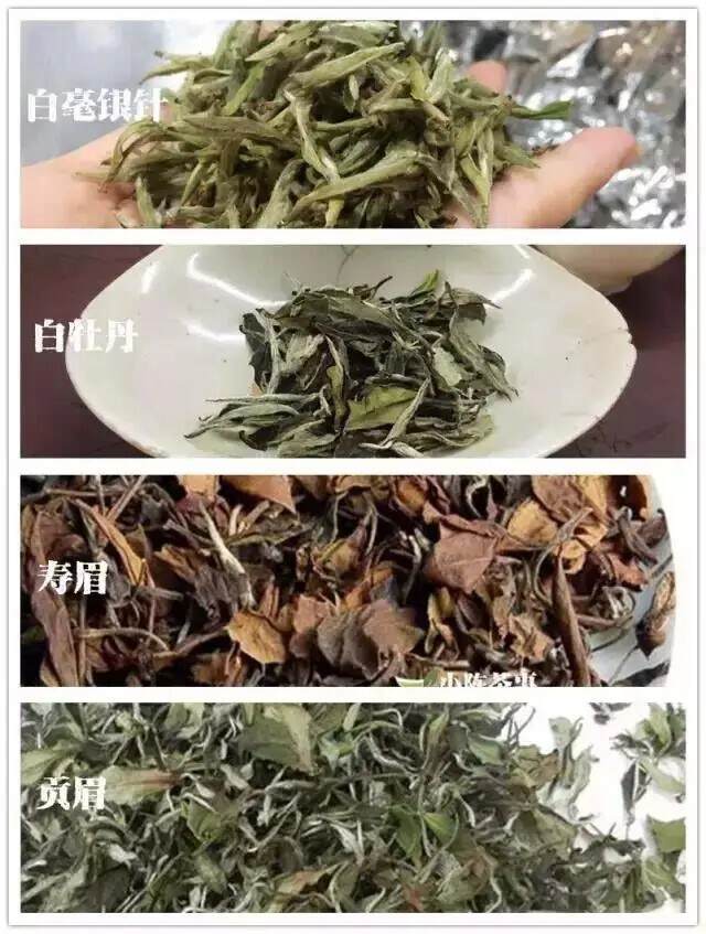 寿眉和白牡丹哪个好？寿眉和白牡丹的区别