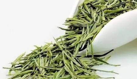 什么是雀舌茶？金坛雀舌茶有什么特征、功效？