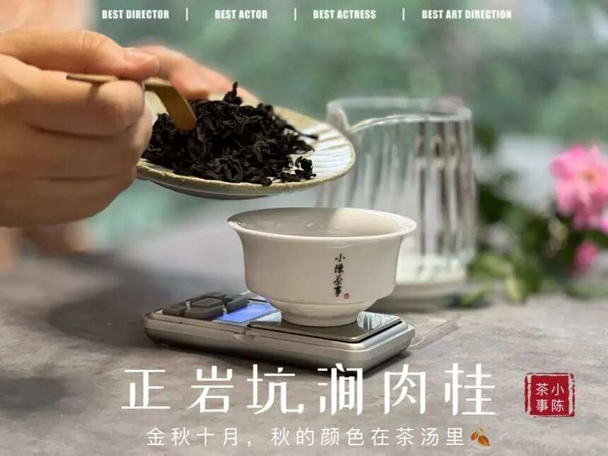 肉桂、铁罗汉、老丛水仙，来头一个比一个大，但谁的茶气更足？