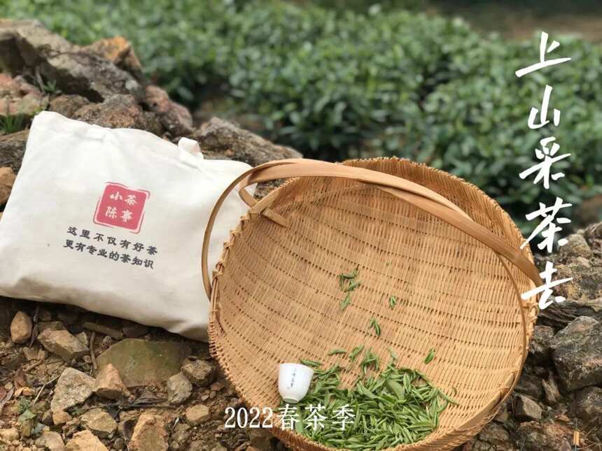 明前茶淡，雨前茶浓，白茶、绿茶、红茶的真相也是这么简单？