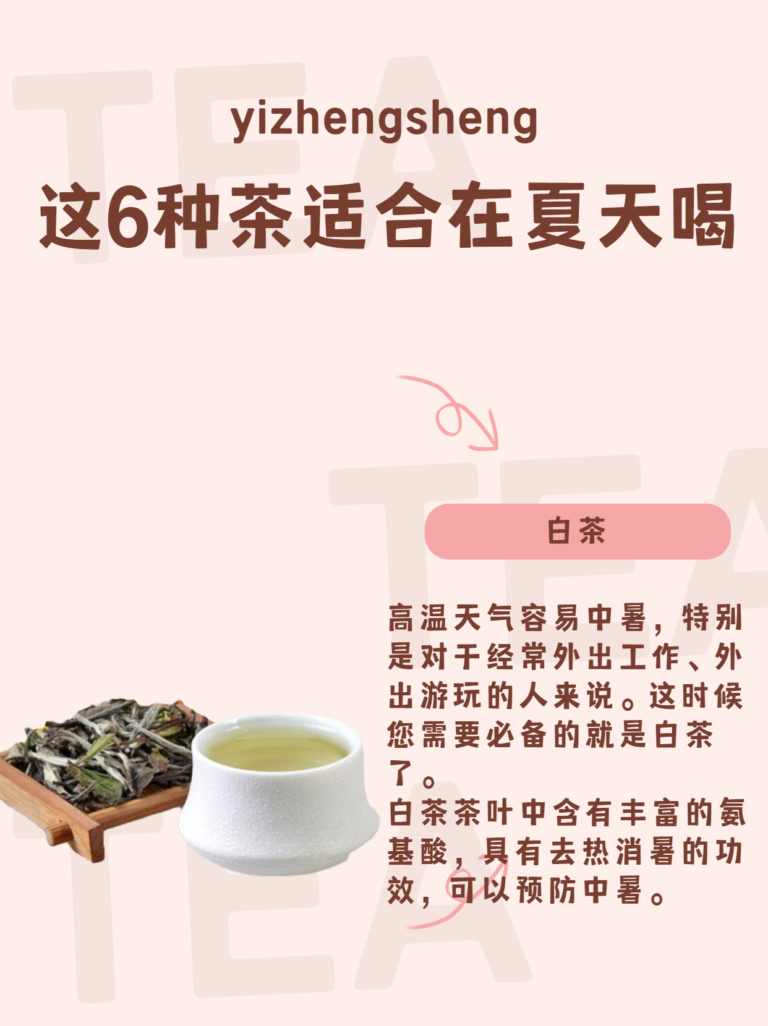 夏天喝什么茶最好养生（6种适合在夏天喝茶推荐）