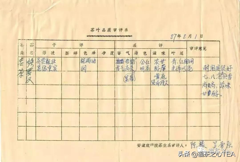 一文看懂铁罗汉是什么茶（铁罗汉产地香气口感品质特点）