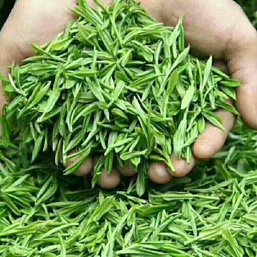 为什么很少有人喝6大类茶中的黄茶呢？黄茶备受冷落与落寞的原因