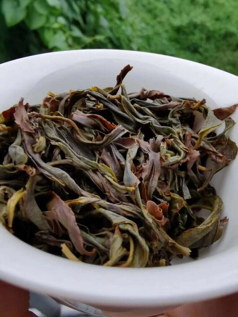 凤凰锯朵仔是什么茶（锯朵仔单丛茶叶介绍）