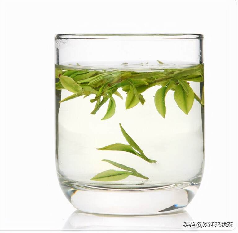 最好的绿茶是什么茶（盘点国内知名的绿茶品种）