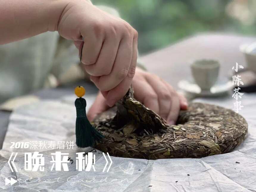 老白茶饼该怎么撬，才不伤茶叶？手把手教会你，新手也能看懂