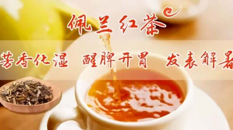 冷泡茶应该怎么泡（茶冷泡和热泡的区别）