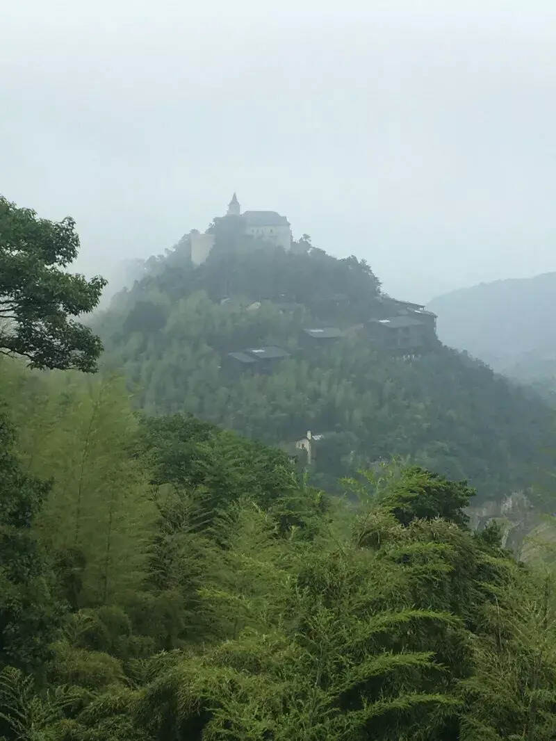 莫干黄芽是绿茶还是黄茶？浙江德清莫干黄芽介绍