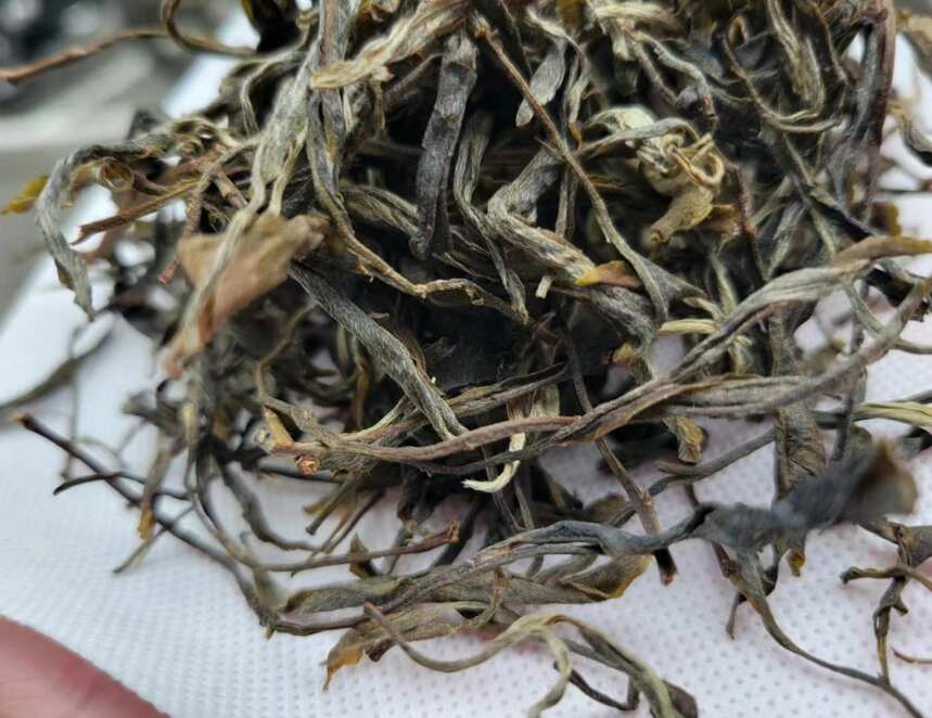 秋高气爽 来一杯普洱熟茶 愿你心情舒畅