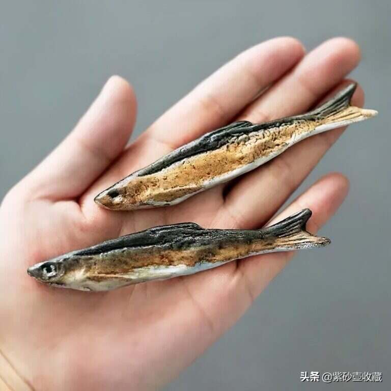 茶宠是什么怎么养（茶宠种类大全介绍）