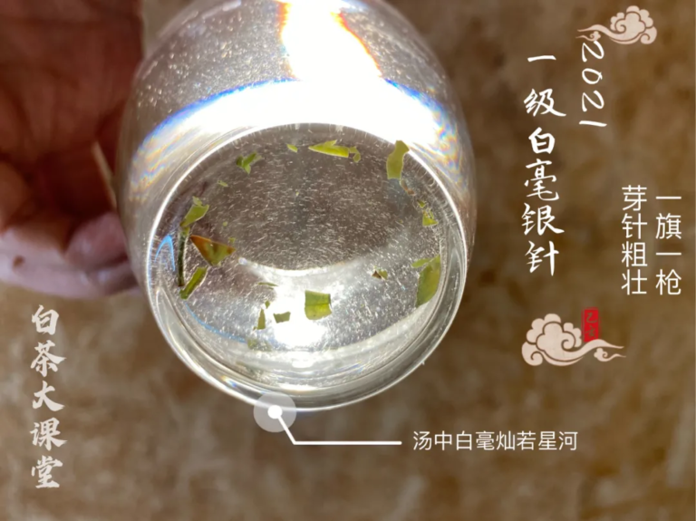 白茶属于什么茶（白茶和绿茶有什么区别）