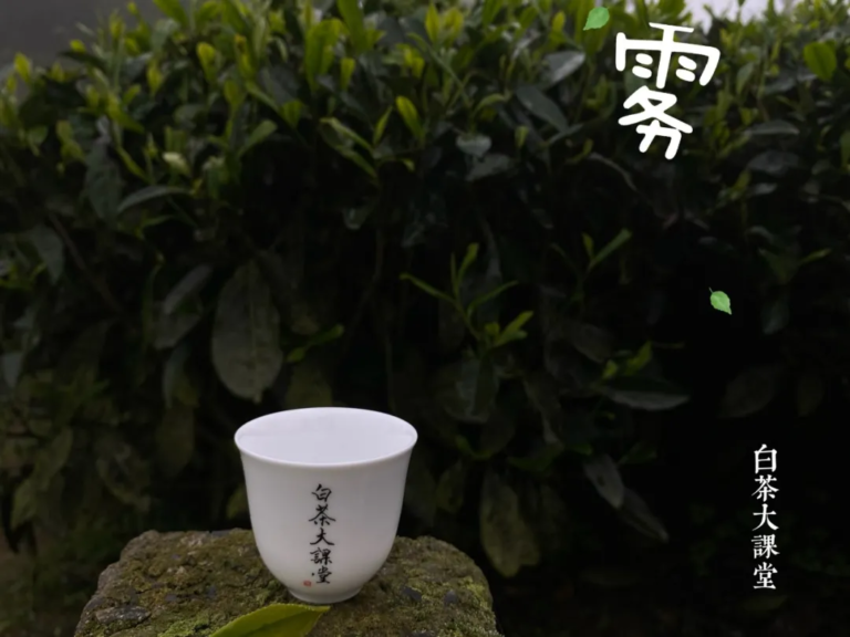 白茶属于什么茶（白茶和绿茶有什么区别）