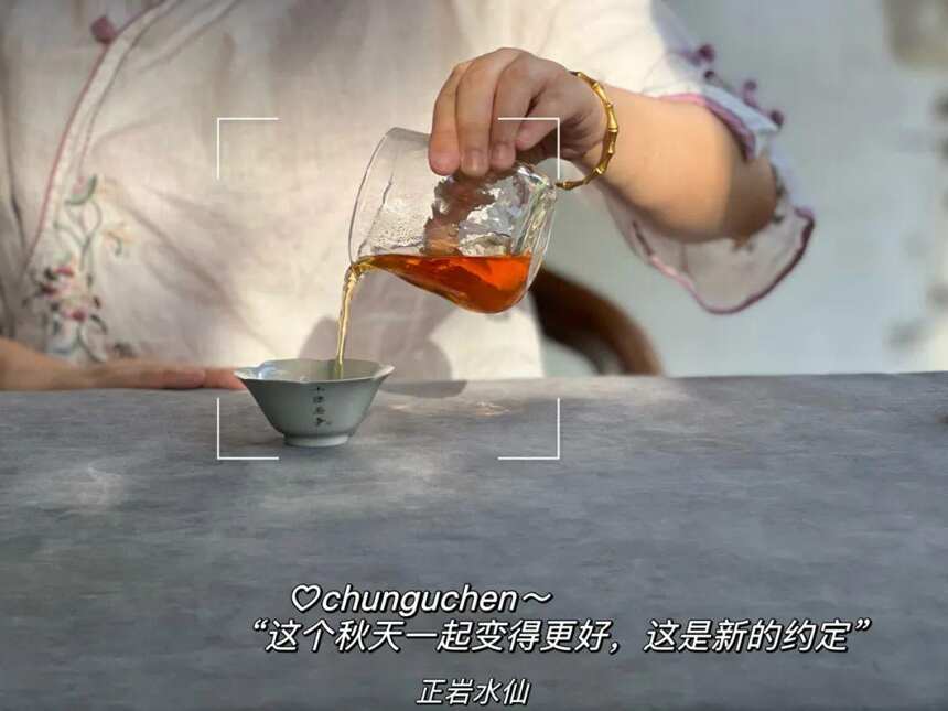 适合年轻人的茶叶，都有哪些？绿茶、白茶、红茶都该怎么选？