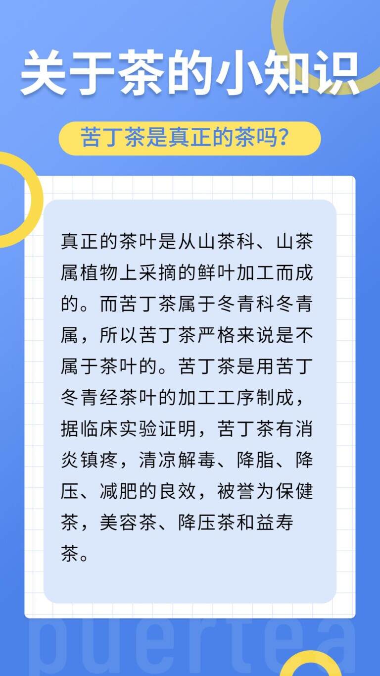 苦丁茶是茶叶类吗？苦丁茶的性质与作用介绍